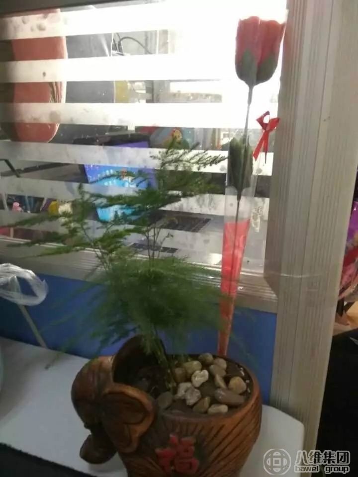教师节,您辛苦了!