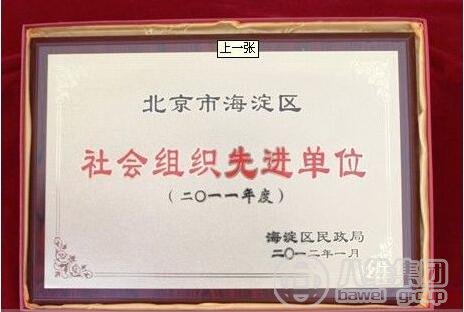 集团荣誉